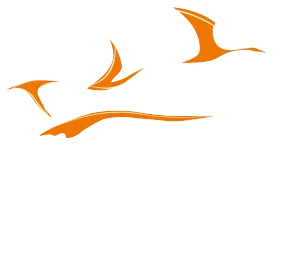 aocdtf-logo-white-orange